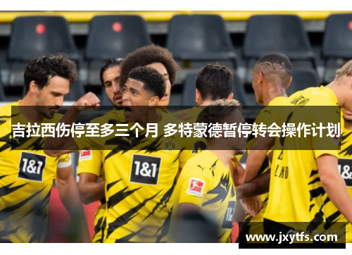吉拉西伤停至多三个月 多特蒙德暂停转会操作计划 吉拉西伤停至多三个月 多特蒙德暂停转会操作计划