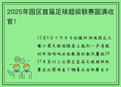 2025年园区首届足球超级联赛圆满收官！